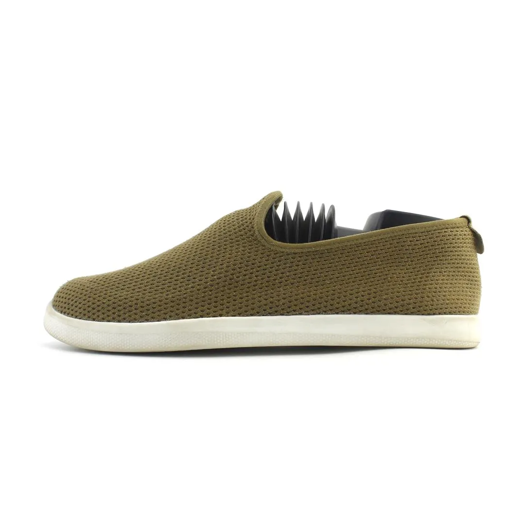 Allbirds Tree Loungers - LIMITED EDITION- African Grassland Green (White Sole) EX