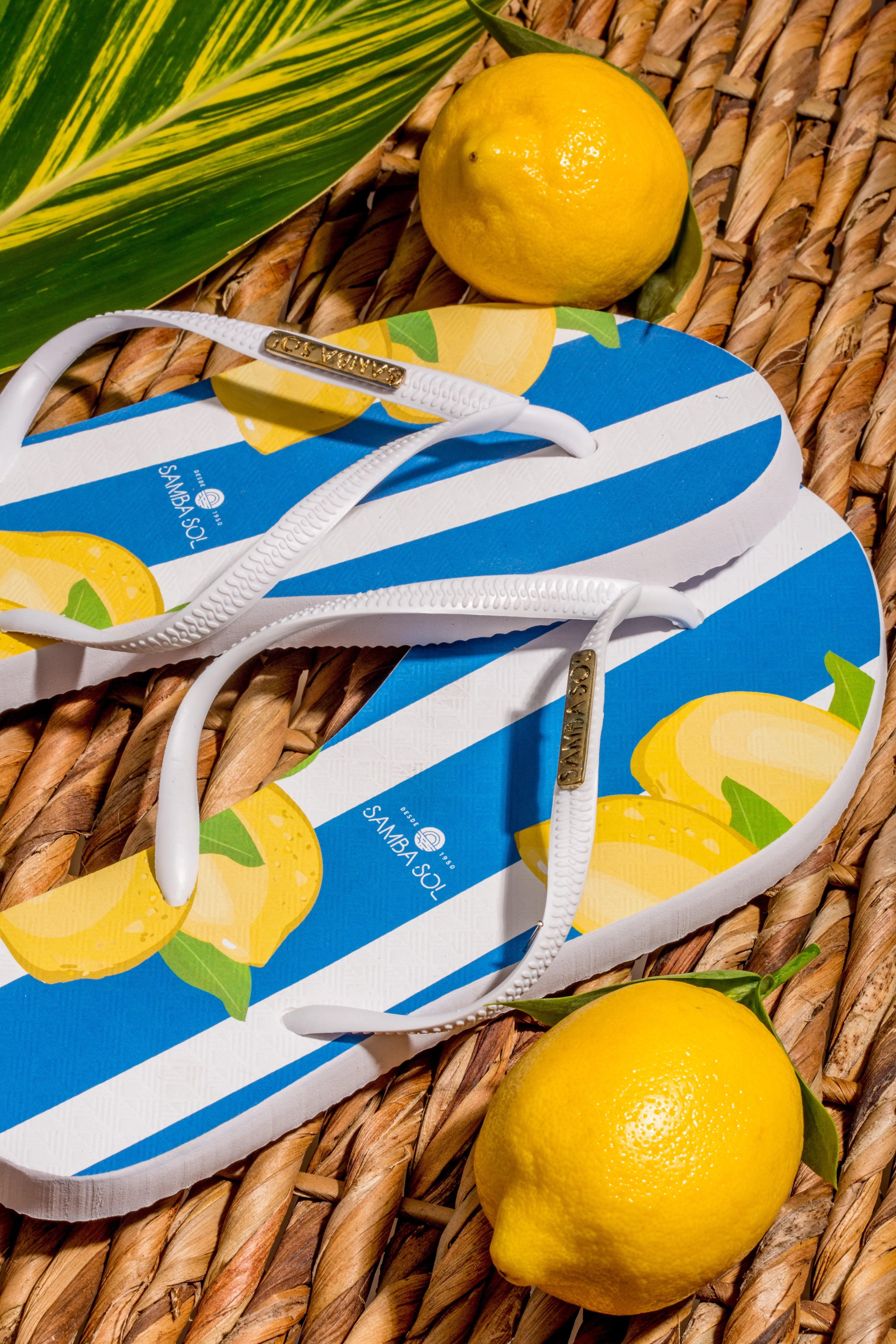 Samba Sol Women's Fashion Collection Flip Flops - Capri Lemon